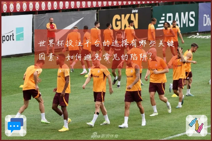 世界杯投注平台的选择有哪些关键因素，如何避免常见的陷阱？