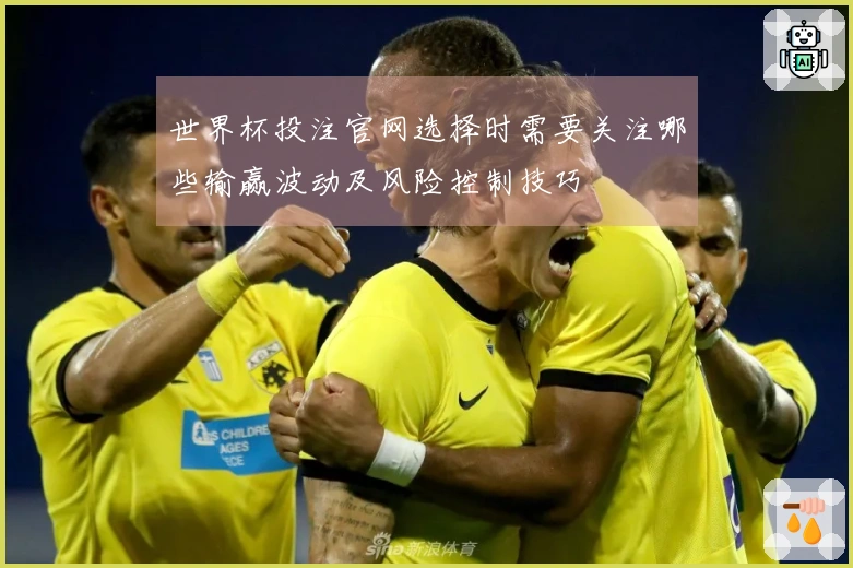 世界杯投注官网选择时需要关注哪些输赢波动及风险控制技巧