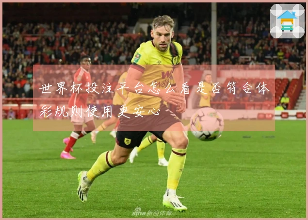 世界杯投注平台怎么看是否符合体彩规则使用更安心