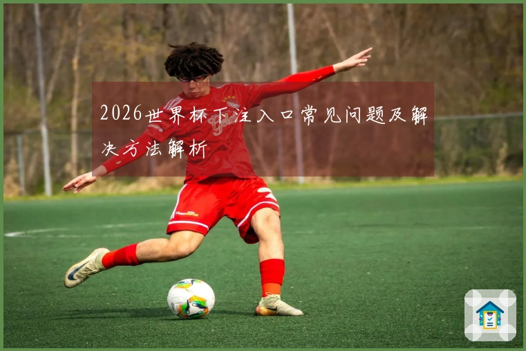 2026世界杯下注入口常见问题及解决方法解析