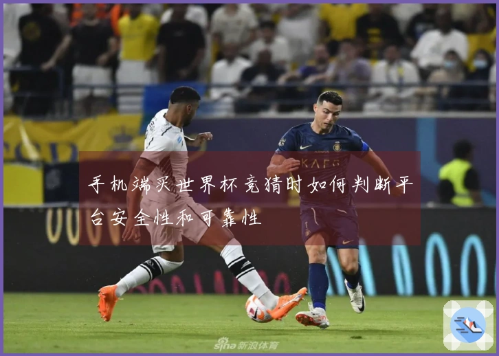 手机端买世界杯竞猜时如何判断平台安全性和可靠性