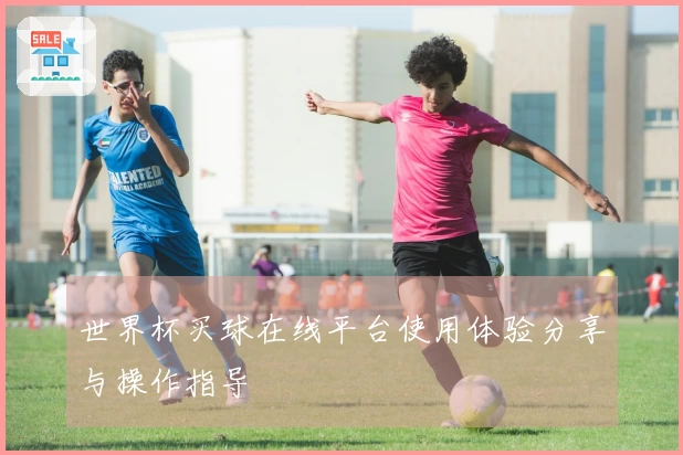 世界杯买球在线平台使用体验分享与操作指导