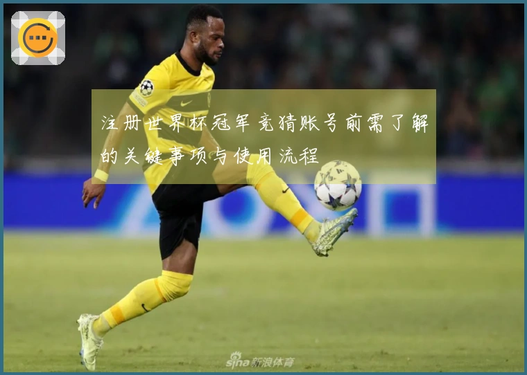 注册世界杯冠军竞猜账号前需了解的关键事项与使用流程