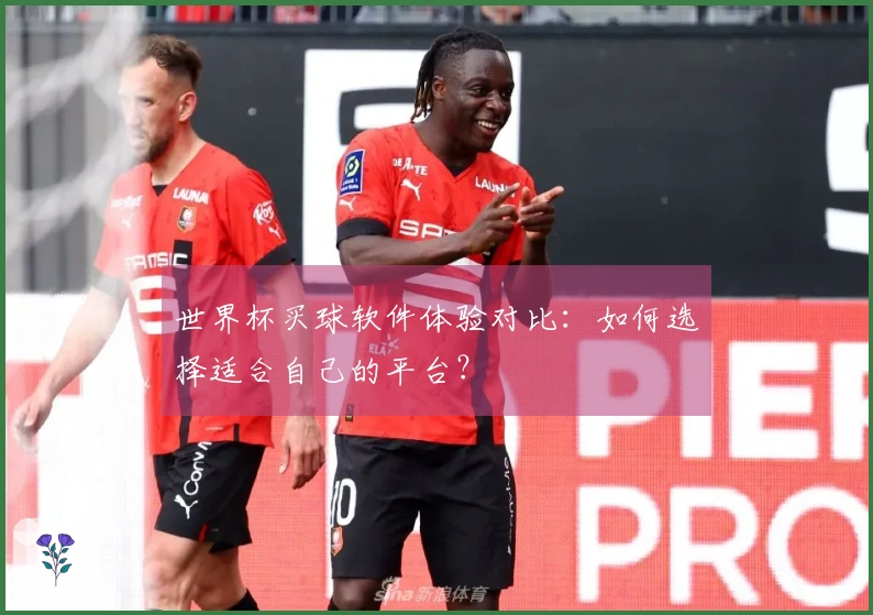 世界杯买球软件体验对比：如何选择适合自己的平台？