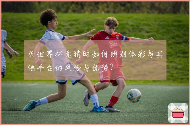 买世界杯竞猜时如何辨别体彩与其他平台的风险与优势?