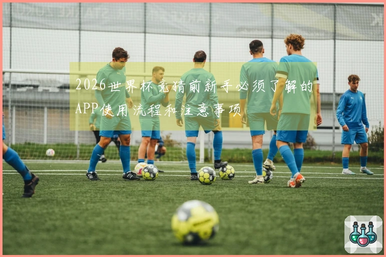 2026世界杯竞猜前新手必须了解的APP使用流程和注意事项