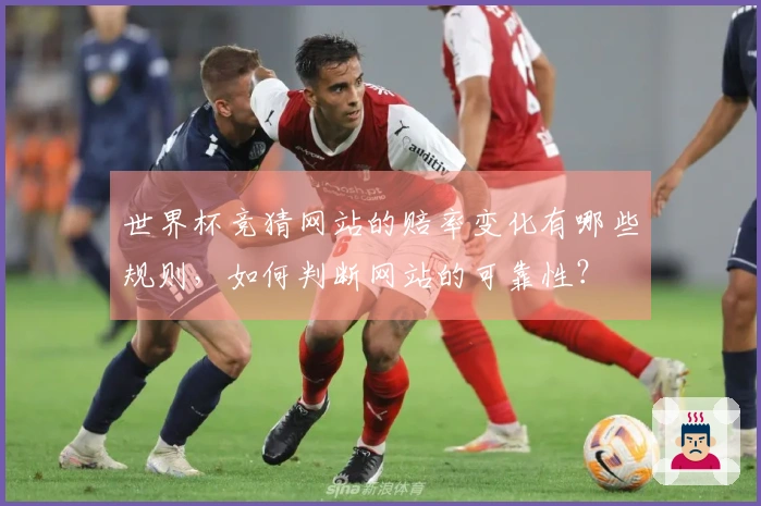 世界杯竞猜网站的赔率变化有哪些规则,如何判断网站的可靠性?