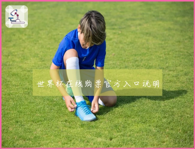 世界杯在线购票官方入口说明
