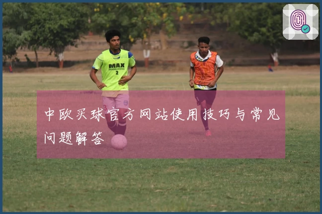 中欧买球官方网站使用技巧与常见问题解答