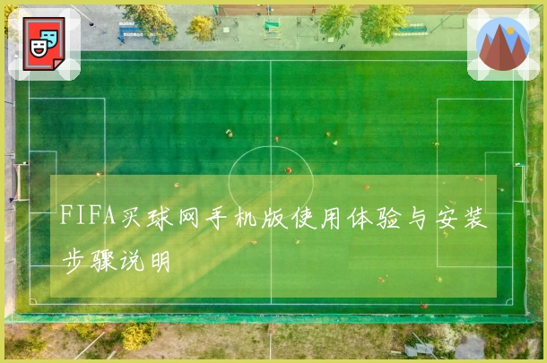 FIFA买球网手机版使用体验与安装步骤说明