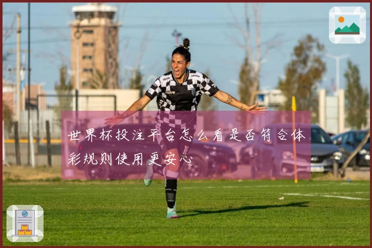 世界杯投注平台怎么看是否符合体彩规则使用更安心