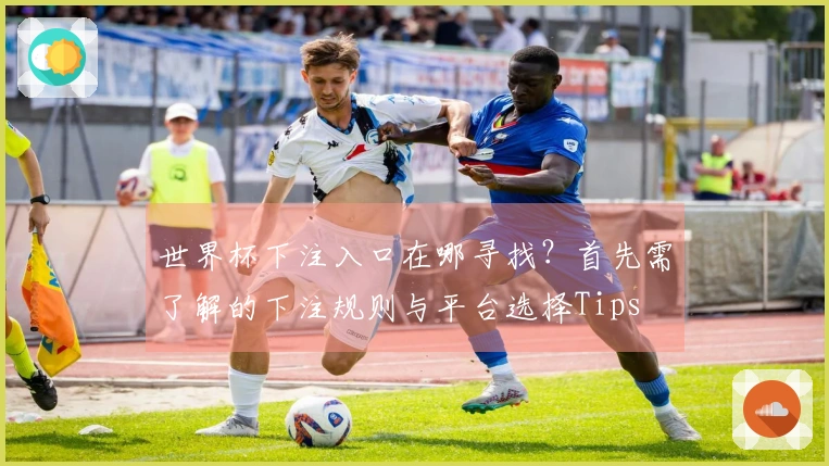世界杯下注入口在哪寻找?首先需了解的下注规则与平台选择Tips