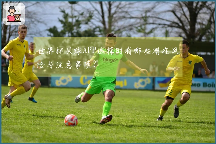 世界杯买球APP选择时有哪些潜在风险与注意事项？