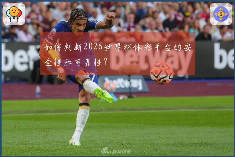 如何判断2026世界杯体彩平台的安全性和可靠性？