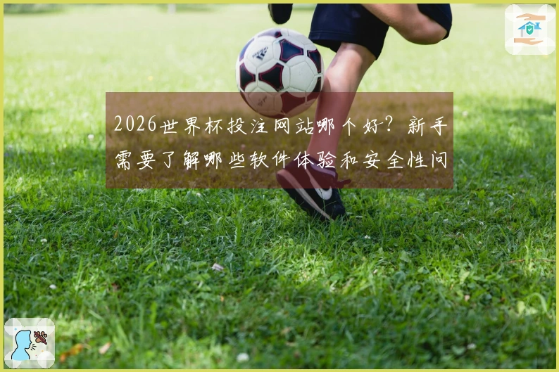2026世界杯投注网站哪个好？新手需要了解哪些软件体验和安全性问题