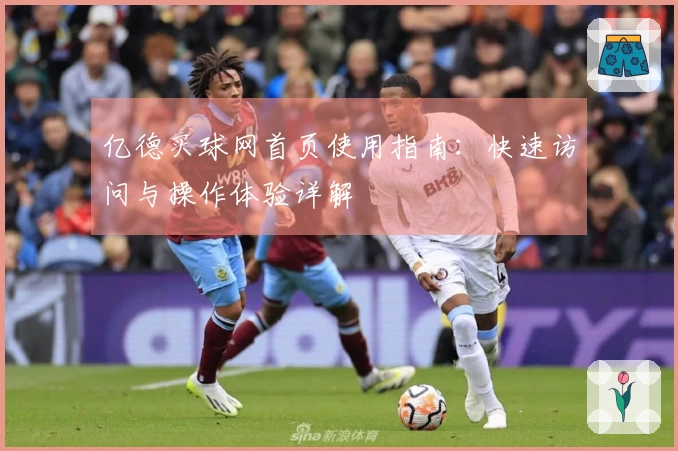 亿德买球网首页使用指南：快速访问与操作体验详解