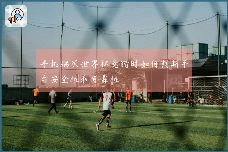 手机端买世界杯竞猜时如何判断平台安全性和可靠性