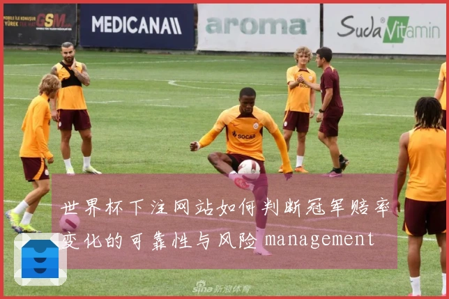 世界杯下注网站如何判断冠军赔率变化的可靠性与风险 management