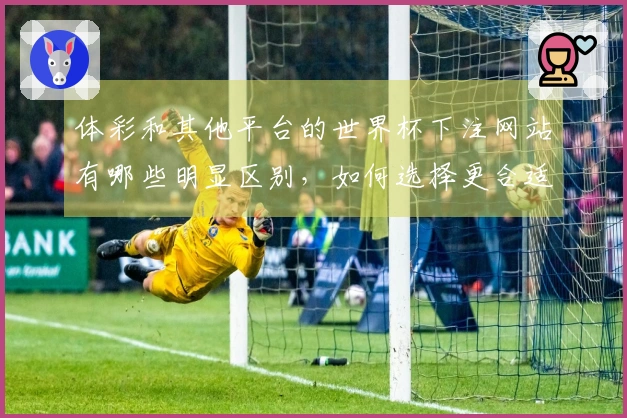 体彩和其他平台的世界杯下注网站有哪些明显区别,如何选择更合适?