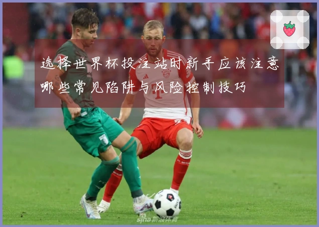 选择世界杯投注站时新手应该注意哪些常见陷阱与风险控制技巧